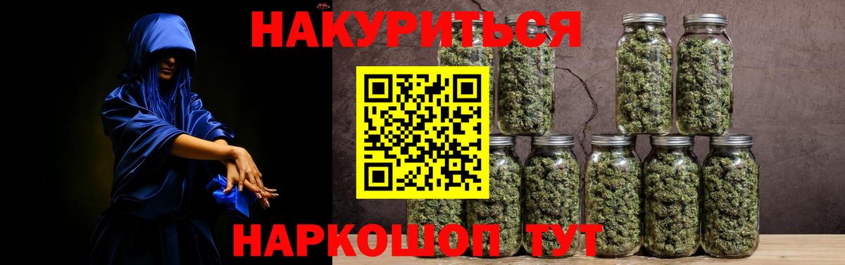 Конопля сатива Сланцы